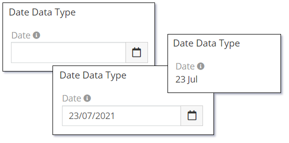 Date Data Type Format