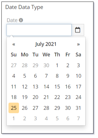 Date Data Type Calendar