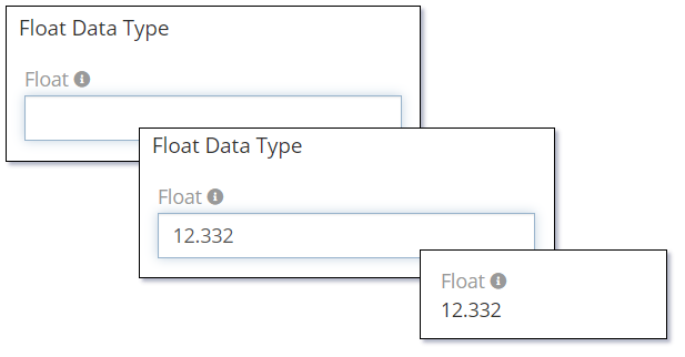 Float Data Type