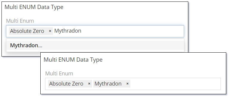 Multi Enum Data Type Allow Custom Options