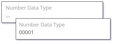 Number Data Type